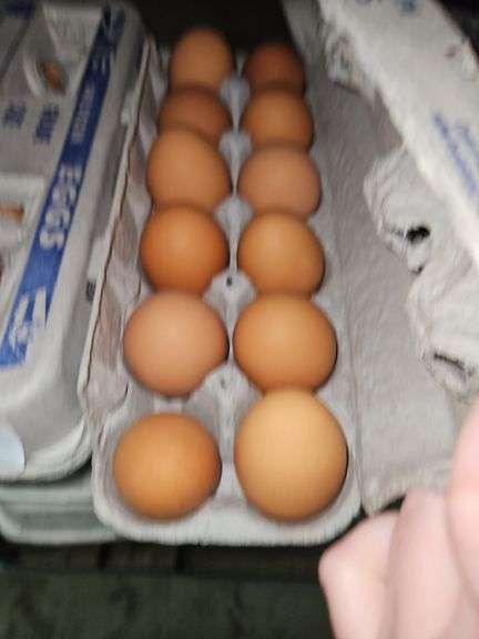 4 Doz Large Brown Eating Eggs