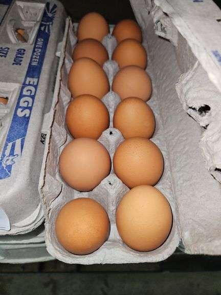 4 Doz Large Brown Eating Eggs