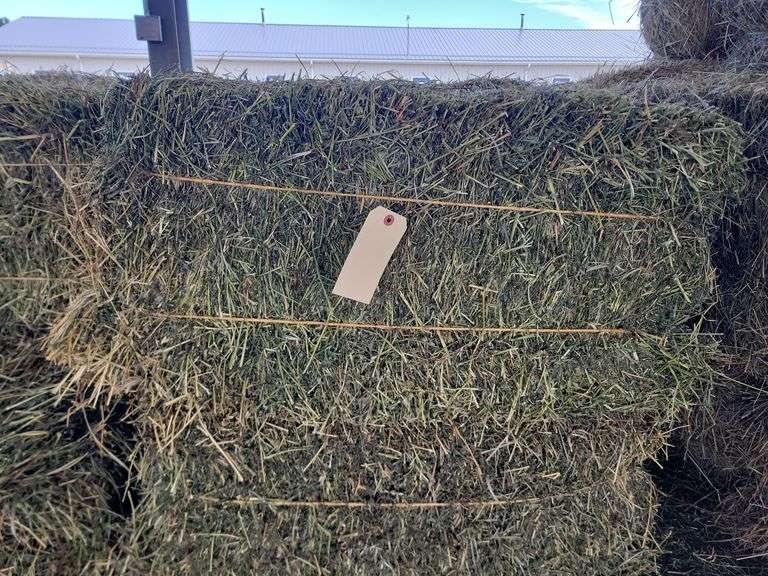 10 2nd Alfalfa