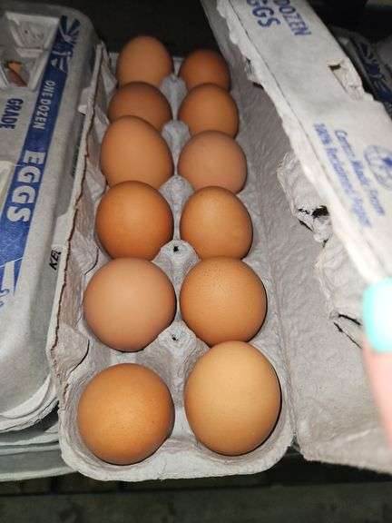 4 Doz Large Brown Eating Eggs
