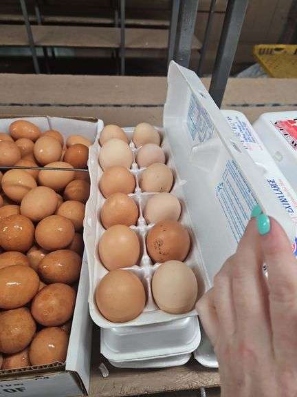 6 Doz Brown Eating Eggs - Free Range