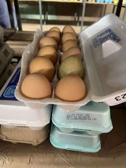 5 Doz Mixed Eating Eggs