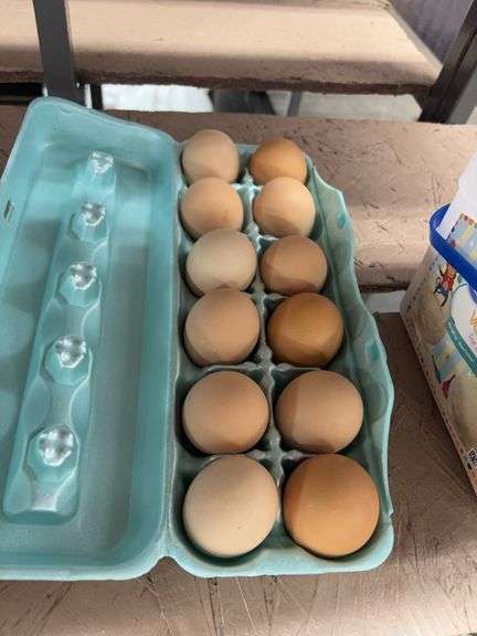 1 Doz Medium Brown Eating Eggs