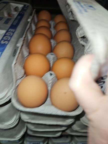 4 Doz Large Brown Eating Eggs
