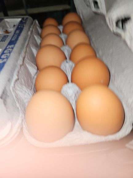4 Doz Large Brown Eating Eggs