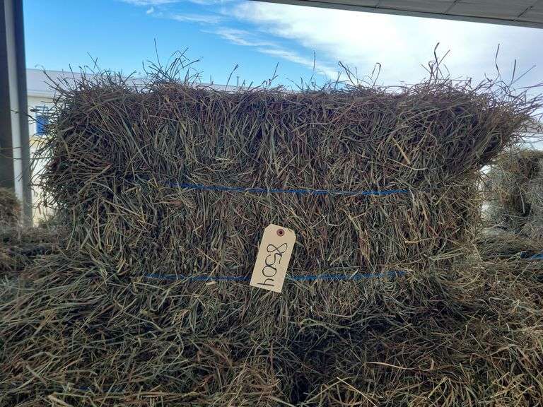 27 2nd Alfalfa Mix