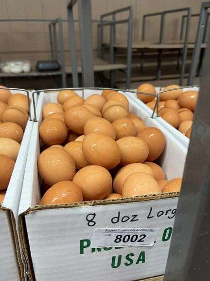 8 Doz Large Brown Eating Eggs