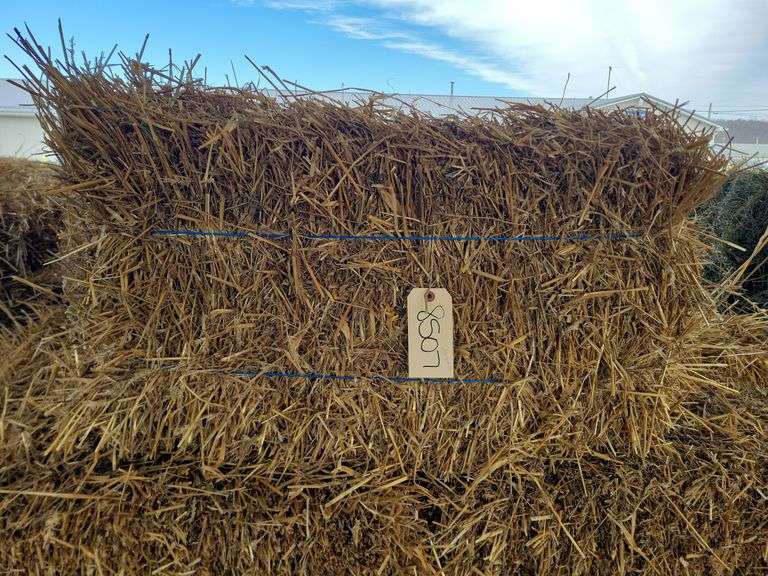 22 Wheat Straw