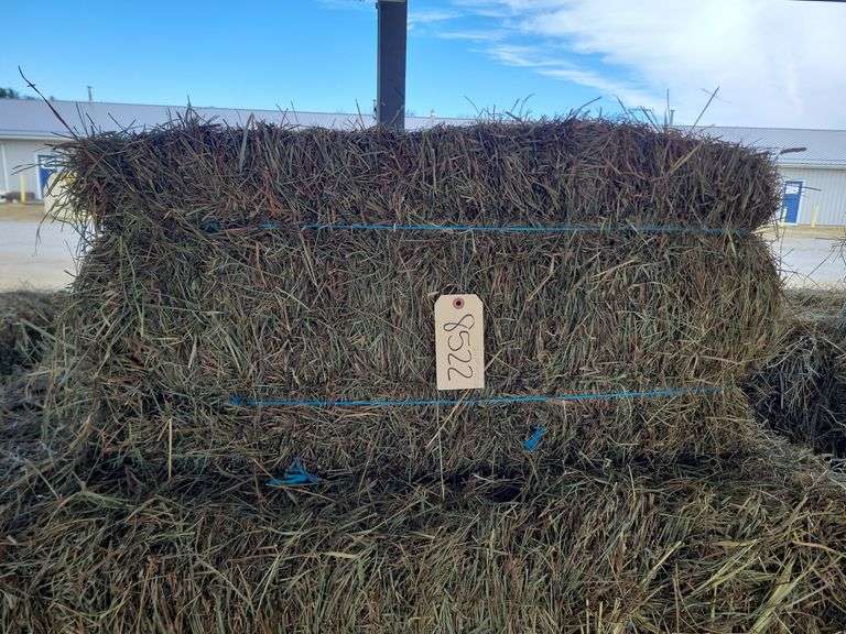 20 2nd Mixed Grass