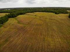 176 Acres England Rd, Salem, Marion County IL