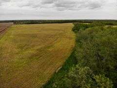 176 Acres England Rd, Salem, Marion County IL