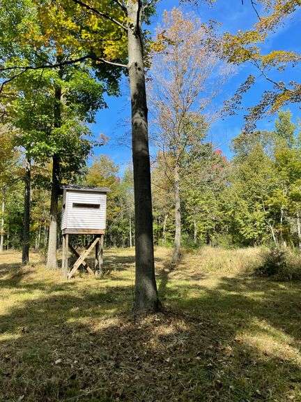 81.8 Acres