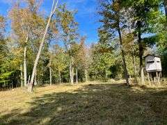 81 ACRE OUTDOORSMAN PARADISE 