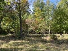 81 ACRE OUTDOORSMAN PARADISE 