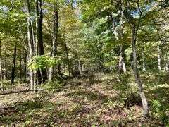 81 ACRE OUTDOORSMAN PARADISE 