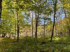 81 ACRE OUTDOORSMAN PARADISE 