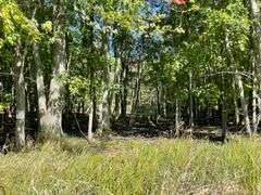 81 ACRE OUTDOORSMAN PARADISE 