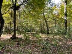 81 ACRE OUTDOORSMAN PARADISE 