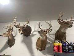 81 ACRE OUTDOORSMAN PARADISE 