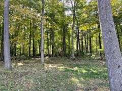 81 ACRE OUTDOORSMAN PARADISE 