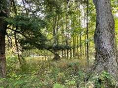 81 ACRE OUTDOORSMAN PARADISE 