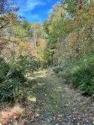 81 ACRE OUTDOORSMAN PARADISE 