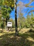 81 ACRE OUTDOORSMAN PARADISE 