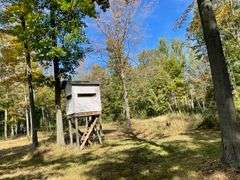 81 ACRE OUTDOORSMAN PARADISE 