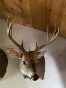81 ACRE OUTDOORSMAN PARADISE 