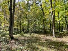 81 ACRE OUTDOORSMAN PARADISE 