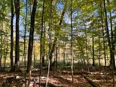81 ACRE OUTDOORSMAN PARADISE 