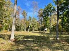 81 ACRE OUTDOORSMAN PARADISE 