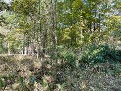 81 ACRE OUTDOORSMAN PARADISE 