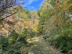 81 ACRE OUTDOORSMAN PARADISE 
