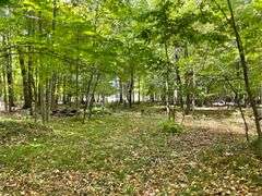 81 ACRE OUTDOORSMAN PARADISE 
