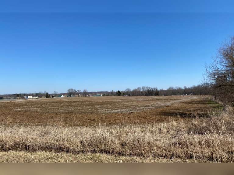 ASHLAND COUNTY PREMIER ABSOLUTE LAND AUCTION RES Auction Services