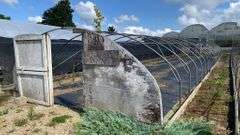 Absolute Online Only Quailcrest Farm Greenhouse Auction