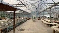 Absolute Online Only Quailcrest Farm Greenhouse Auction