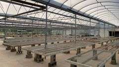 Absolute Online Only Quailcrest Farm Greenhouse Auction