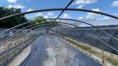 Absolute Online Only Quailcrest Farm Greenhouse Auction
