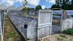 Absolute Online Only Quailcrest Farm Greenhouse Auction