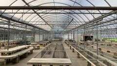 Absolute Online Only Quailcrest Farm Greenhouse Auction