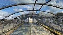 Absolute Online Only Quailcrest Farm Greenhouse Auction