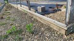 Absolute Online Only Quailcrest Farm Greenhouse Auction