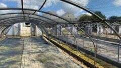 Absolute Online Only Quailcrest Farm Greenhouse Auction