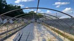 Absolute Online Only Quailcrest Farm Greenhouse Auction