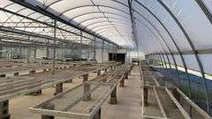Absolute Online Only Quailcrest Farm Greenhouse Auction