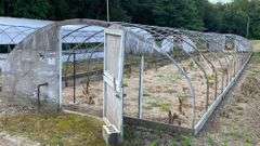 Absolute Online Only Quailcrest Farm Greenhouse Auction