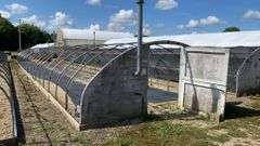 Absolute Online Only Quailcrest Farm Greenhouse Auction