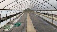 Absolute Online Only Quailcrest Farm Greenhouse Auction